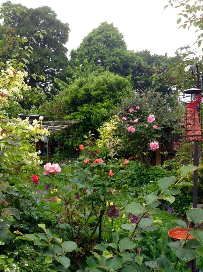 Hyacinth Bed & Breakfast Wellington  Eksteriør bilde